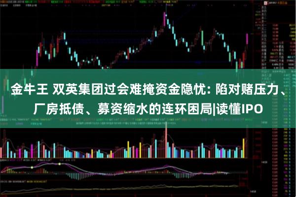金牛王 双英集团过会难掩资金隐忧: 陷对赌压力、厂房抵债、募资缩水的连环困局|读懂IPO
