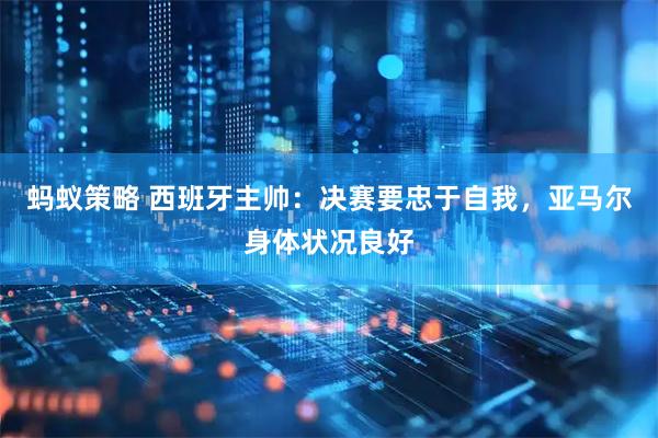 蚂蚁策略 西班牙主帅：决赛要忠于自我，亚马尔身体状况良好